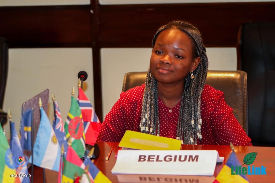 Remarks during a committee sitting with the Belgium placard.